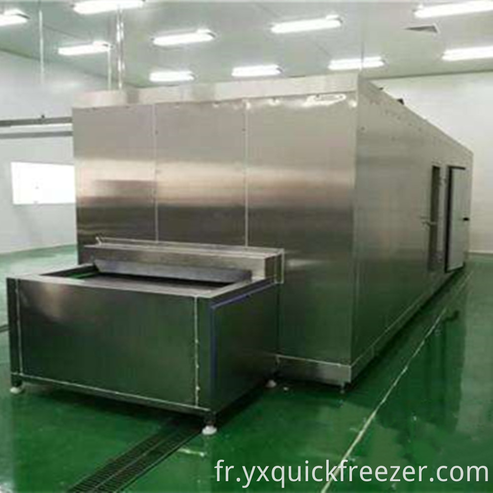 Mesh Best Tunnel Freezer